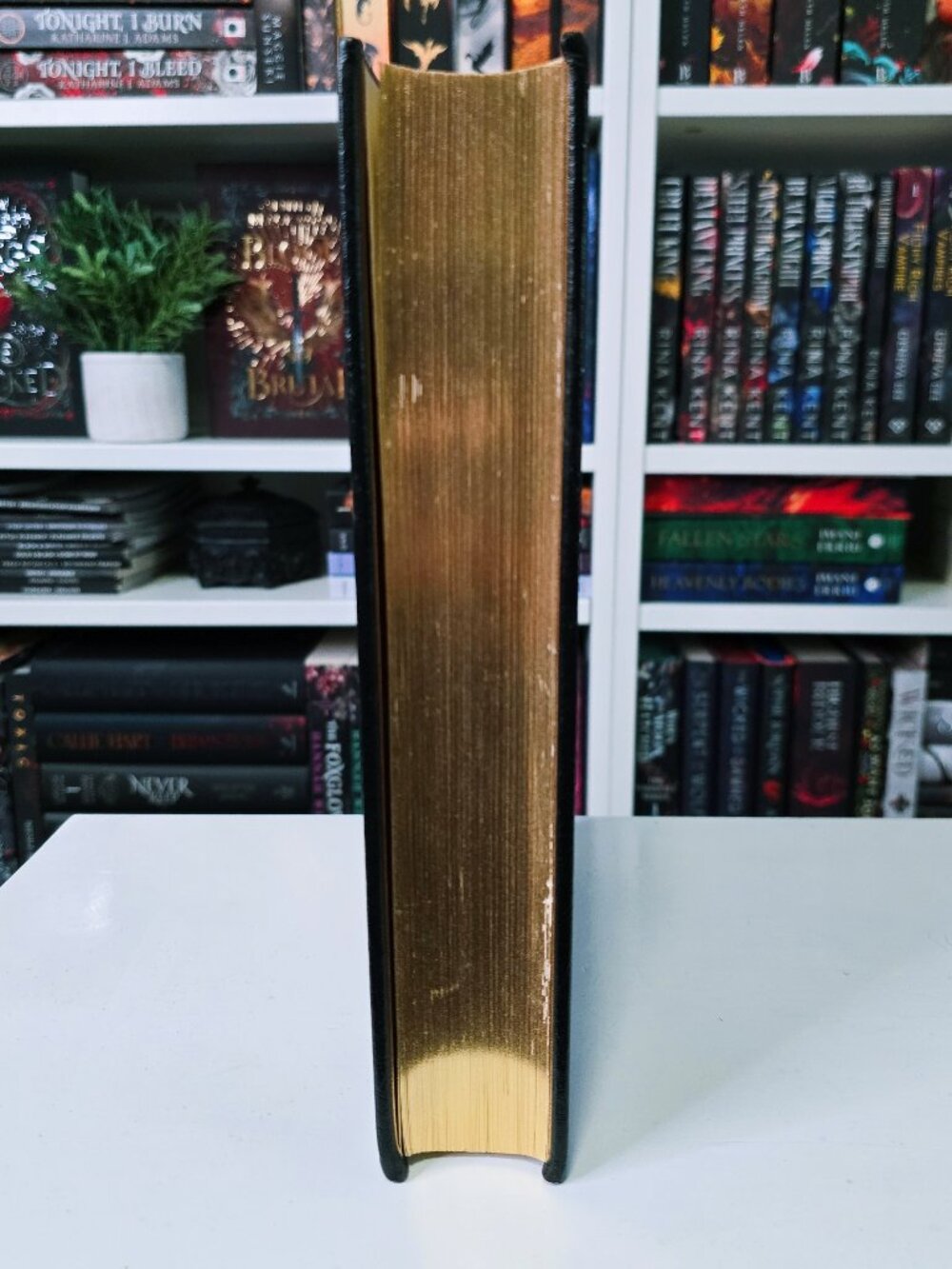 RARE DRACULA Leather Bound Collectors Edition - Picture 6 of 12